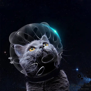 Space Headgear Anti-Bite Cat Collar