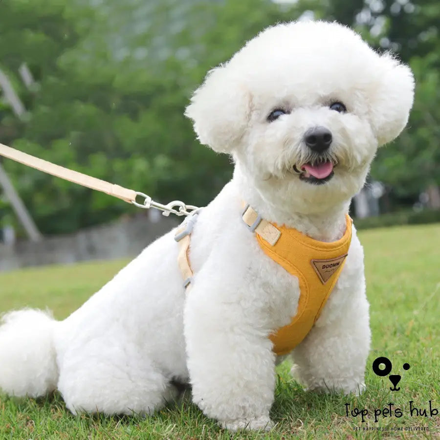 Anti Breaking Loose Dog Breast Strap