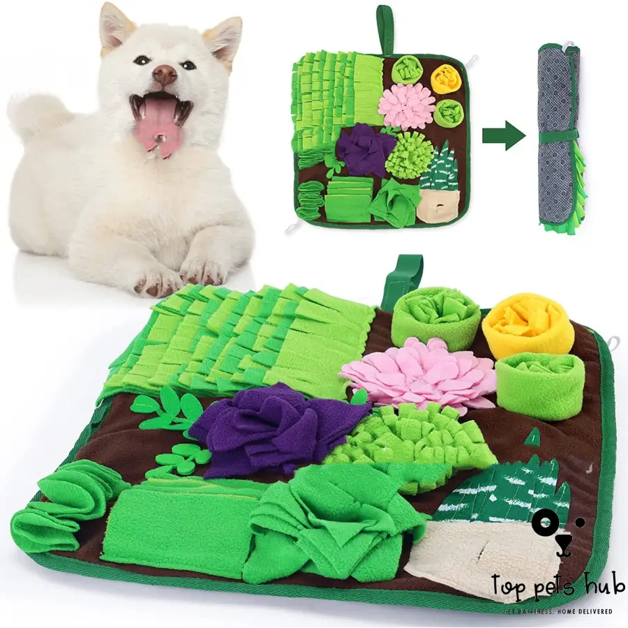 Sniffing Pad Feeding for Pets