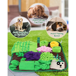 Sniffing Pad Feeding for Pets