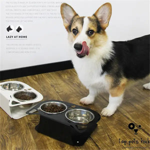 Anti-falling Pet Water Bowl