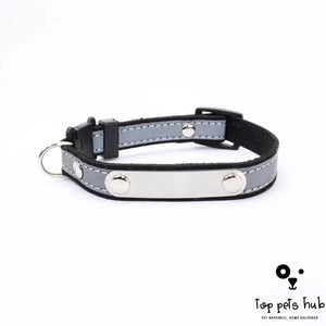 Anti-Loss Pet Collar