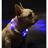 Lighted Pet Collar