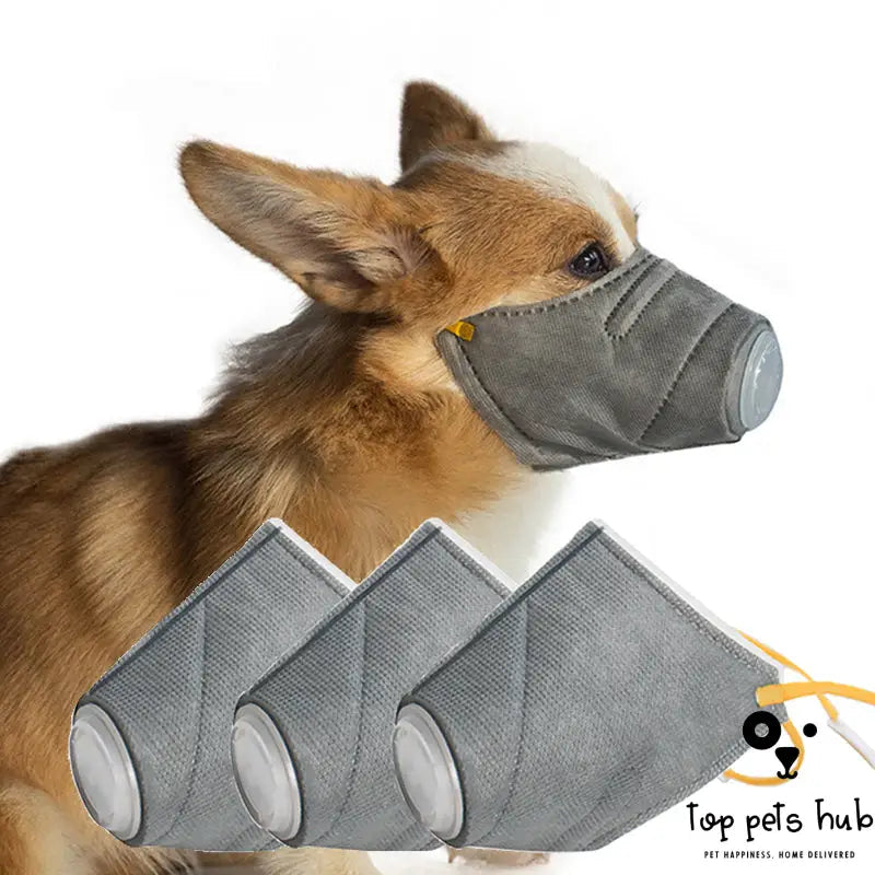 Anti-Fog Dog Haze Mask