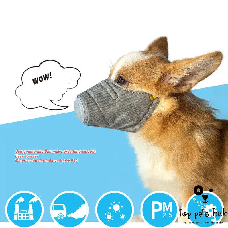 Anti-Fog Dog Haze Mask