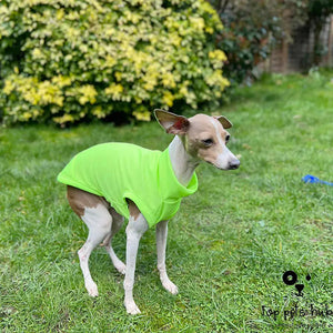 Breathable Anti-Mosquito Pet Vest for Summer