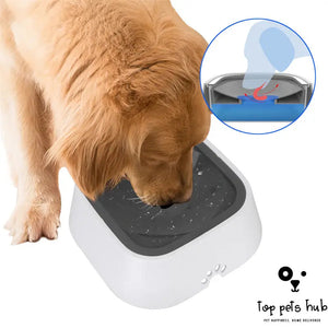 Floating Pet Water and Food Bowl