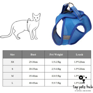 Anti-Strike Cat Harness