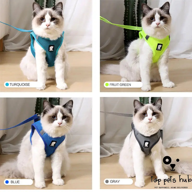 Anti-Strike Cat Harness