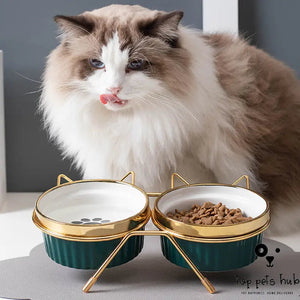 Anti-Tumble Double Cat Bowl with Cervical Spine Protection