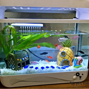 Aquarium Fish Tank Pineapple House Decoration