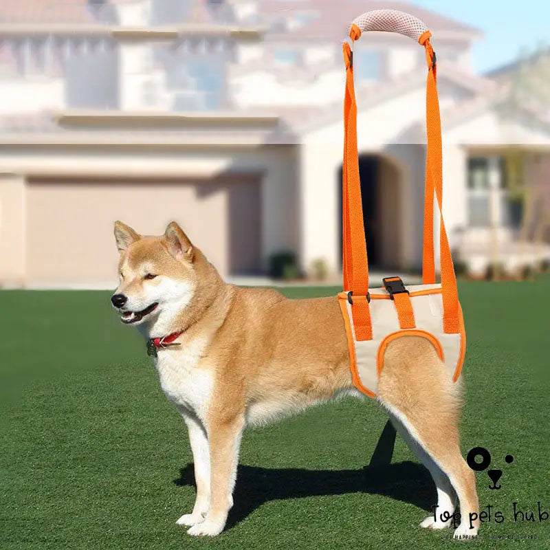 Adjustable Dog Lift Harness