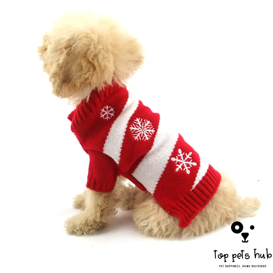 Christmas-themed Pet Clothes
