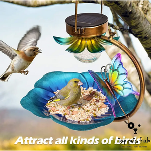 Solar Bird Feeder