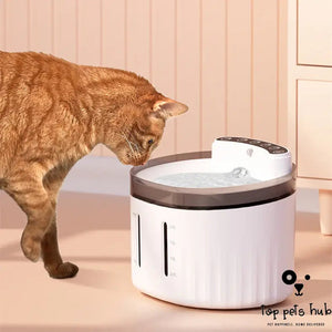 Automatic Water Circulating Pet Dispenser