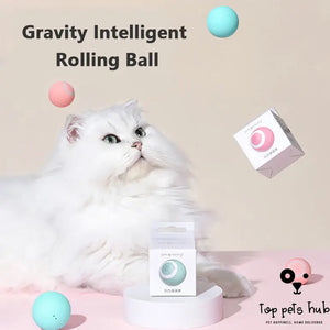Automatic Rotating Cat Tease Toy