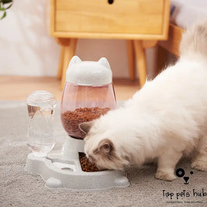 Two-in-one Pet Automatic Feeder