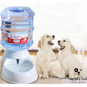 Automatic Pet Feeder and Water Fountain