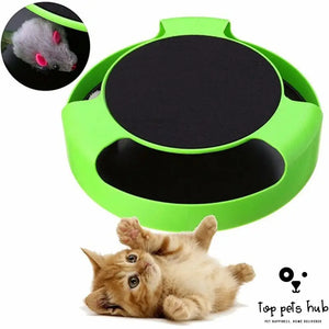 PlayPounce Automatic Interactive Cat Toy