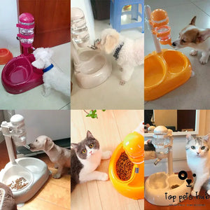 Automatic Pet Drinking Fountain
