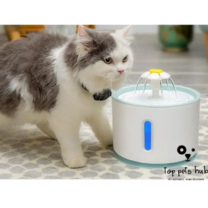 Automatic Water Drinking Pet Fountain