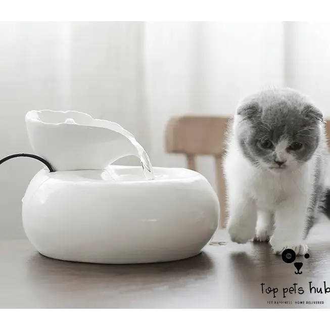 Automatic Cat Water Feeder