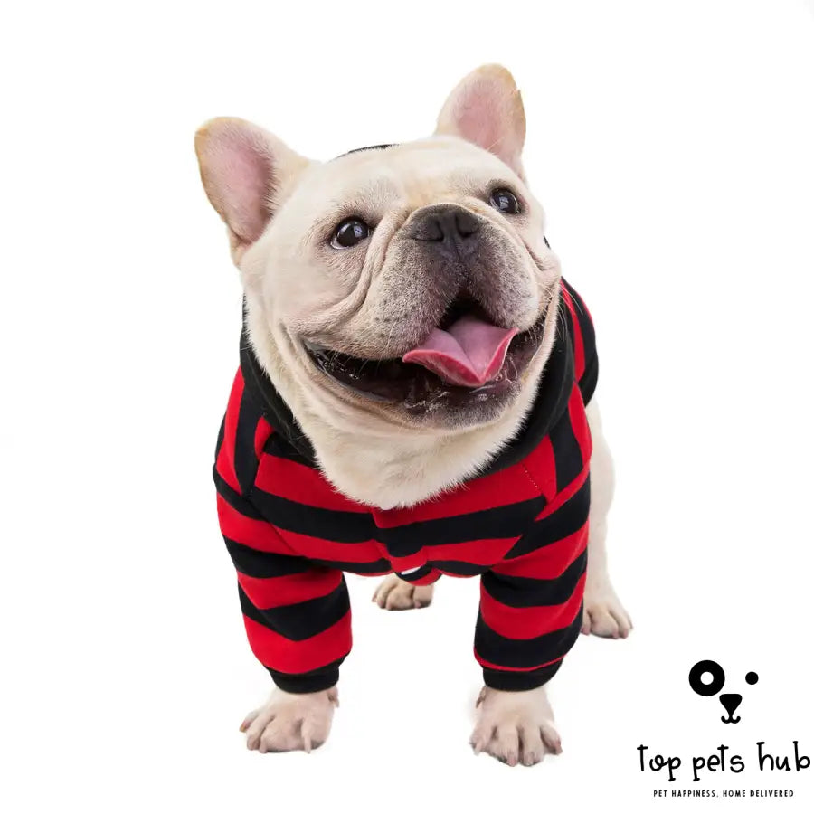 Striped Cotton Pet Coat