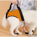 Disabled Dog Auxiliary Strap