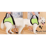 Disabled Dog Auxiliary Strap