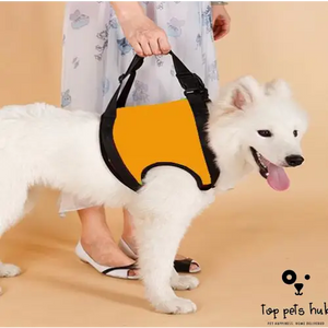 Disabled Dog Auxiliary Strap