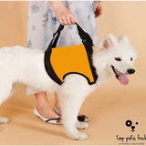 Disabled Dog Auxiliary Strap