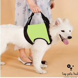 Disabled Dog Auxiliary Strap