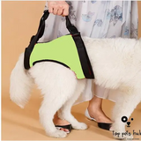 Disabled Dog Auxiliary Strap