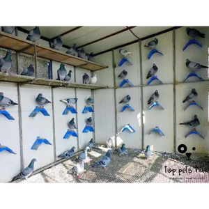 Avian Supplies Bird Equipment