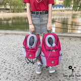 Portable Double Shoulder Dog Carrier Backpack