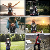 Portable Dog Backpack