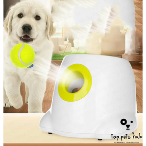 Automatic Interactive Ball Launcher for Dogs