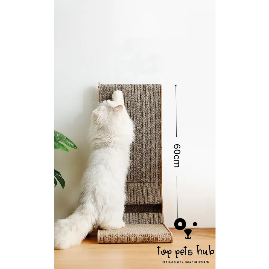 Vertical Cat Scratch Board with Ball Toy