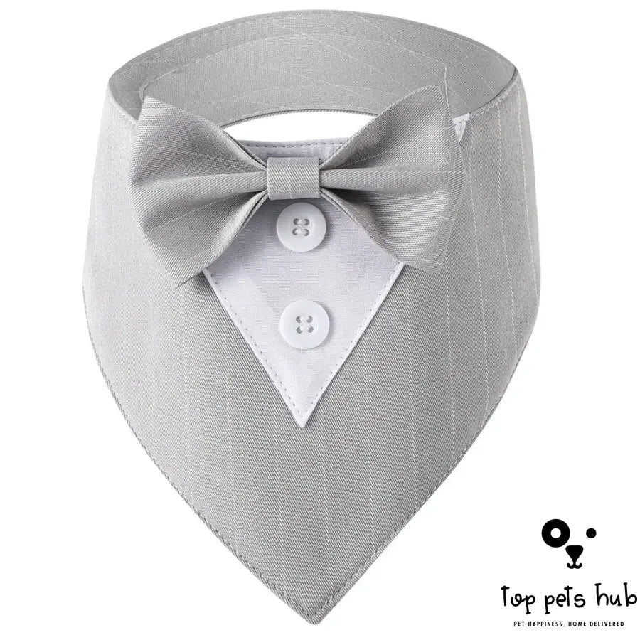 Stylish Pet Tie Banquet Suit