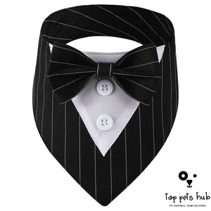 Stylish Pet Tie Banquet Suit