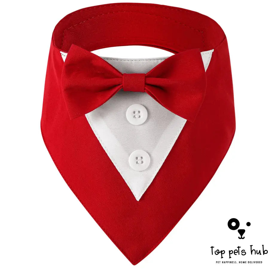 Stylish Pet Tie Banquet Suit