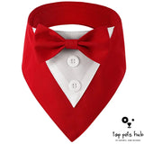 Stylish Pet Tie Banquet Suit