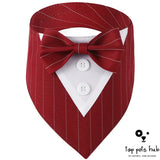 Stylish Pet Tie Banquet Suit