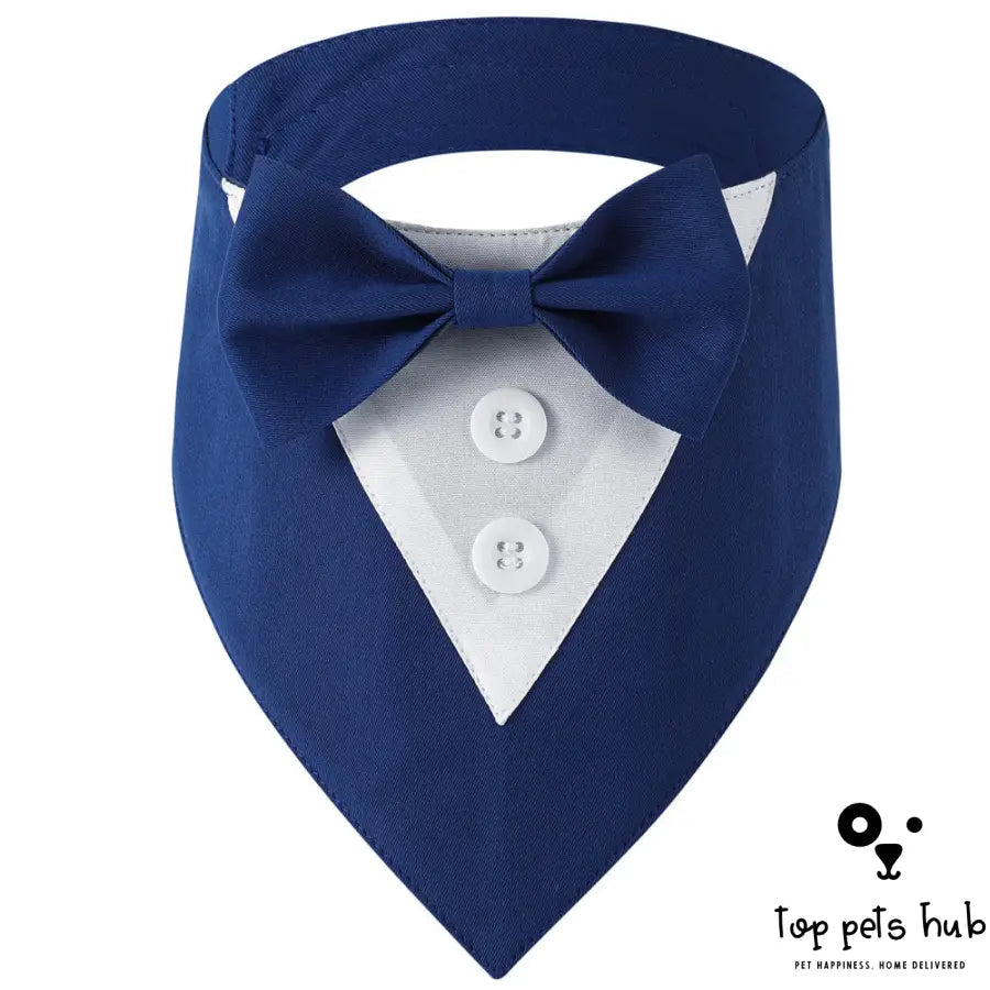 Stylish Pet Tie Banquet Suit