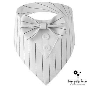 Stylish Pet Tie Banquet Suit