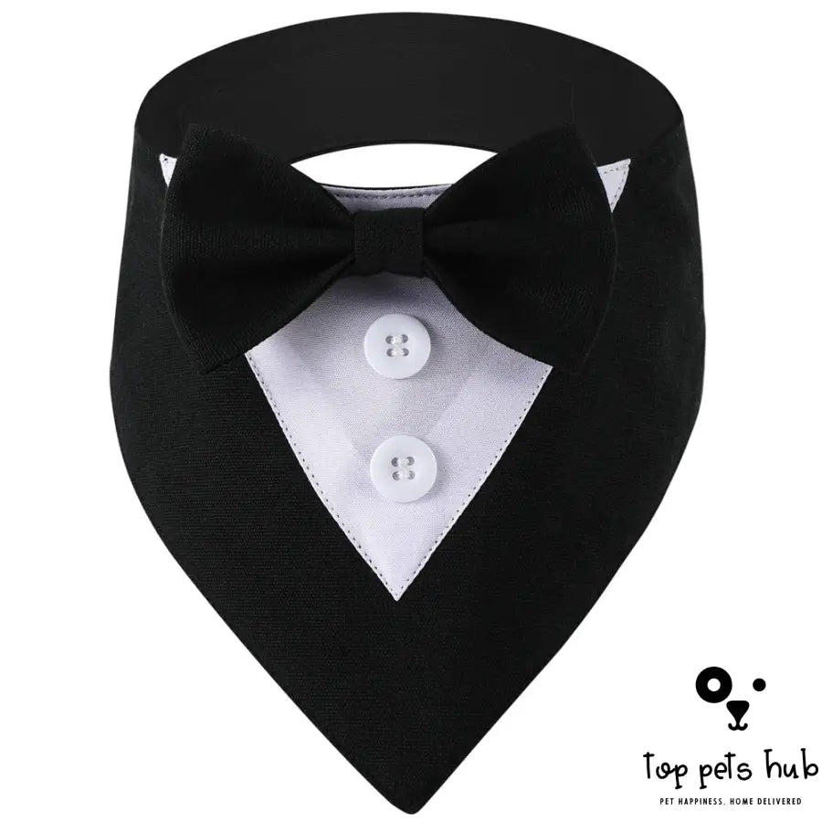 Stylish Pet Tie Banquet Suit