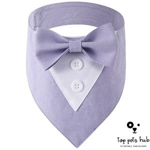 Stylish Pet Tie Banquet Suit