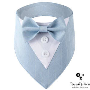 Stylish Pet Tie Banquet Suit