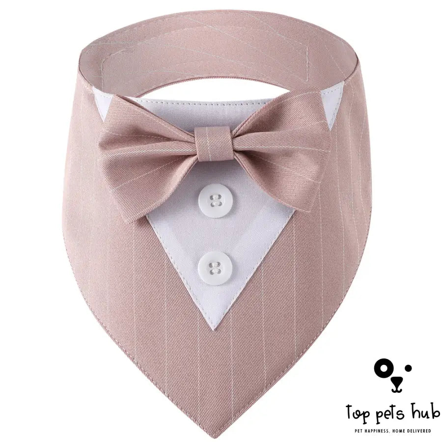 Stylish Pet Tie Banquet Suit