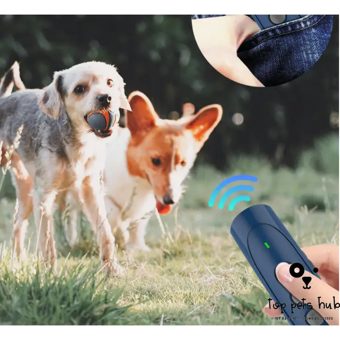 Handheld Ultrasonic Barking Stop Device